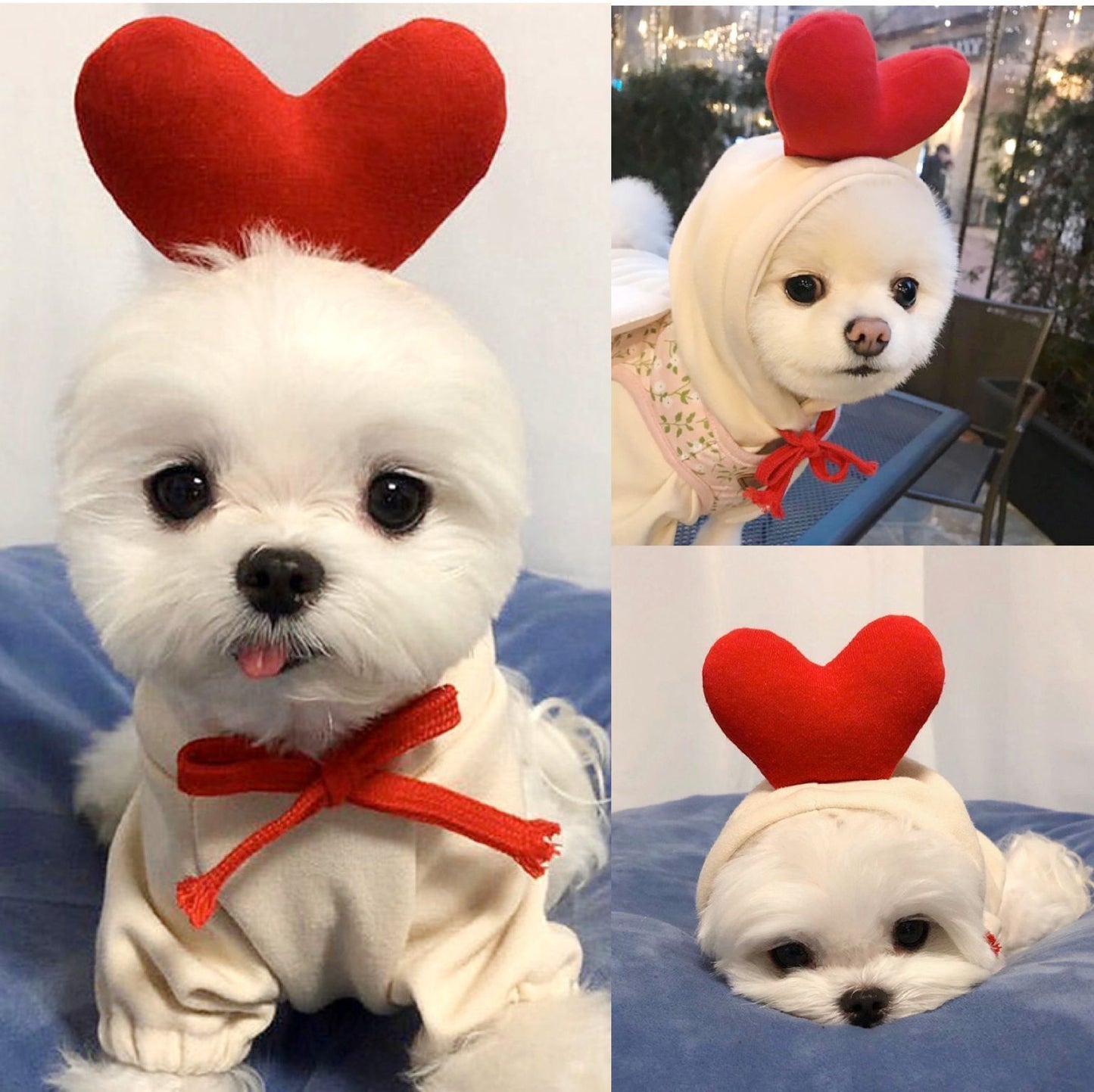 Cute Fruit Dog Hoodie – Warm Fleece Outfit for Small Pets - BarkandMeow