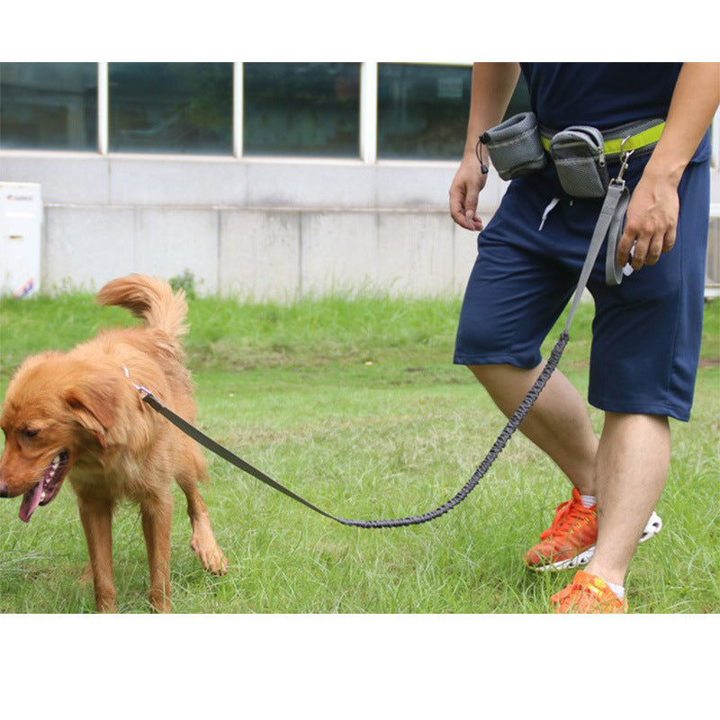 Adjustable Hands Free Dog Leash - BarkandMeow