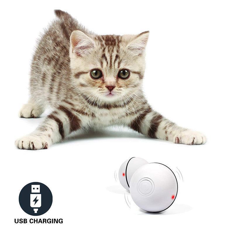 LED Laser Electronic Rolling Pet Funny Cat Toy Ball - BarkandMeow