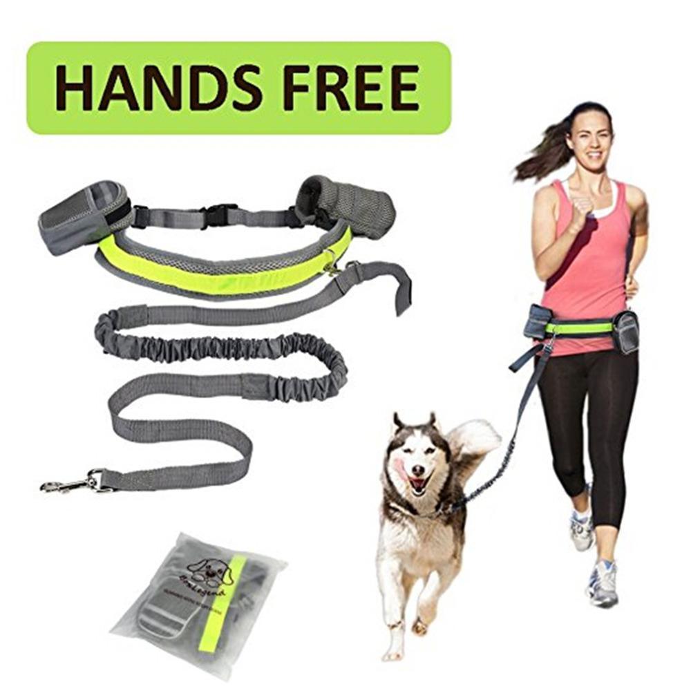 Adjustable Hands Free Dog Leash - BarkandMeow