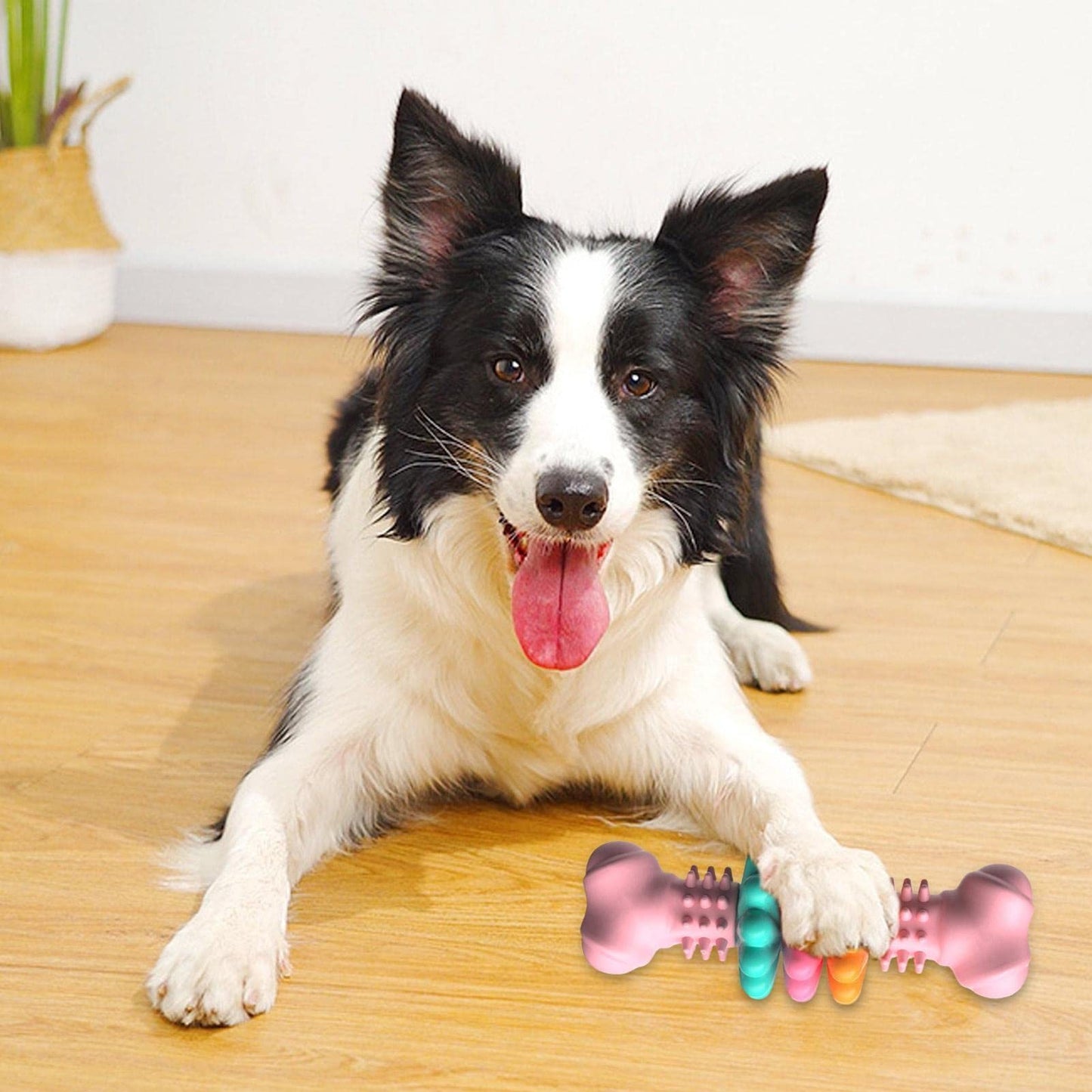 Dog Chew Toy Dog Bone Type Dogs Teeth Cleaning Toys Indestructible TPR Bone Chewing Bite Resistant Teething Toys Pet Products - BarkandMeow