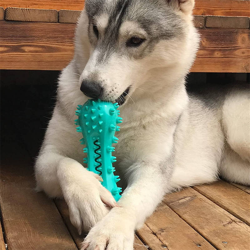 Pet Dog Cleaning Chew Toys For Aggressive Dogs Rubber Molar Stick Dog Oral Teeth - BarkandMeow