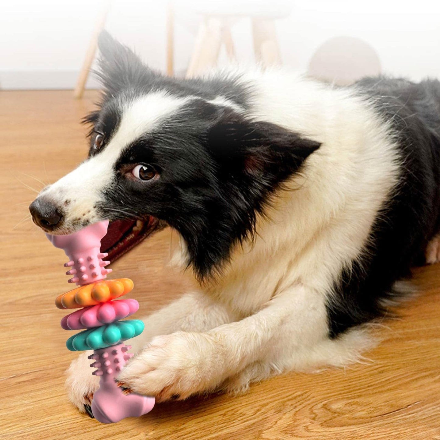 Dog Chew Toy Dog Bone Type Dogs Teeth Cleaning Toys Indestructible TPR Bone Chewing Bite Resistant Teething Toys Pet Products - BarkandMeow
