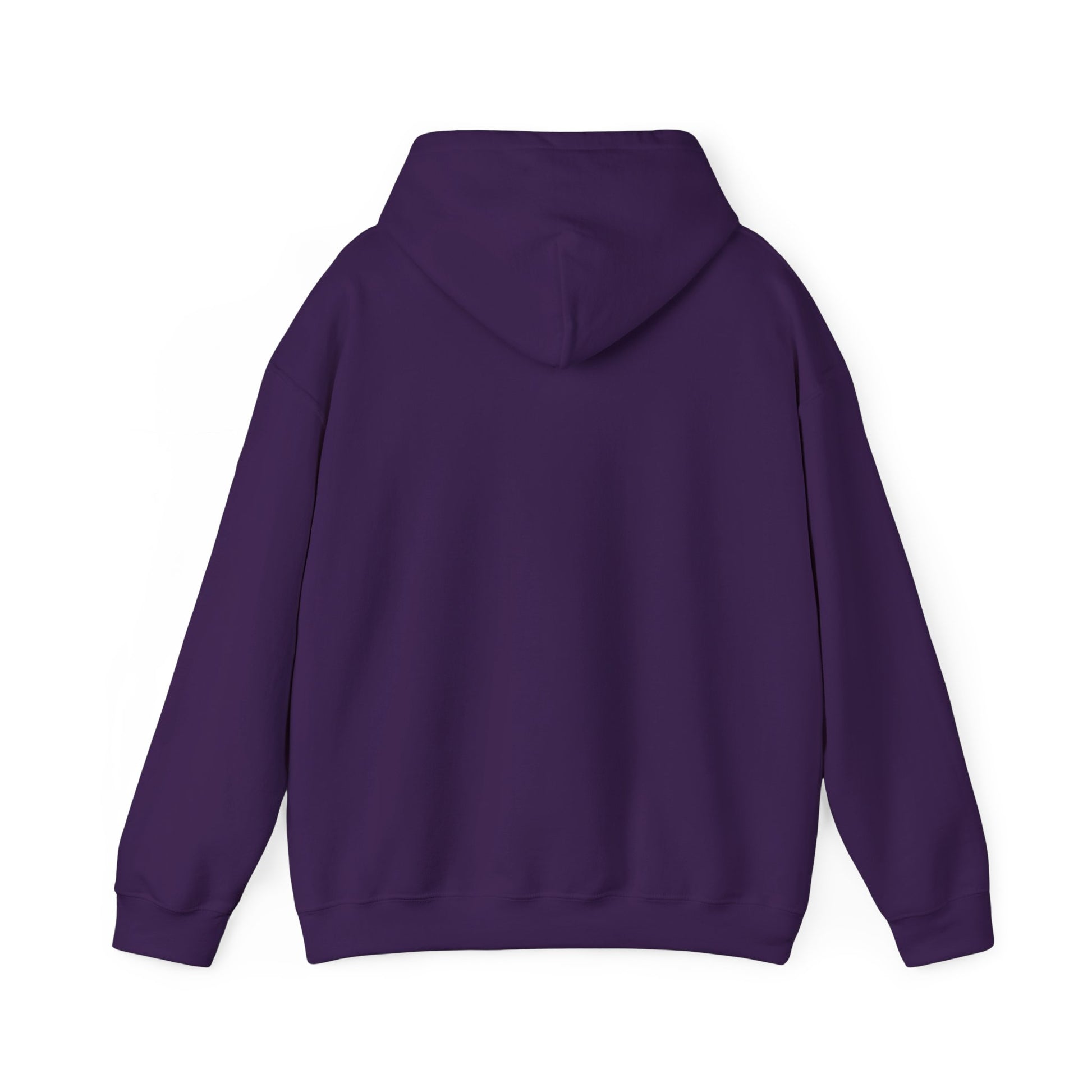 Thunder Studio Cat Hoodie - Unisex Heavy Blend Sweatshirt, Cozy Gift for Cat Lovers, Perfect for Fall, Winter & Birthdays, Unique [...] - BarkandMeow