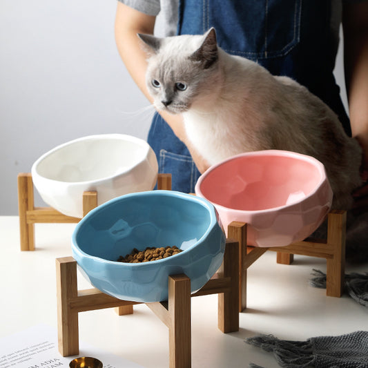 Oblique Mouth Pet Food Bowl for Cats & Dogs - BarkandMeow