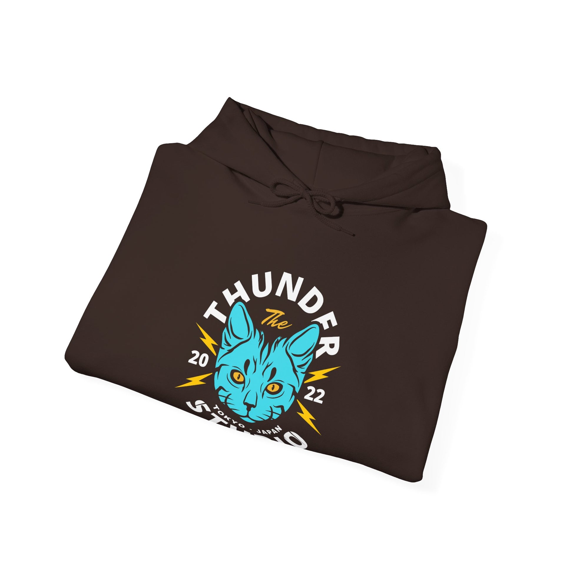Thunder Studio Cat Hoodie - Unisex Heavy Blend Sweatshirt, Cozy Gift for Cat Lovers, Perfect for Fall, Winter & Birthdays, Unique [...] - BarkandMeow