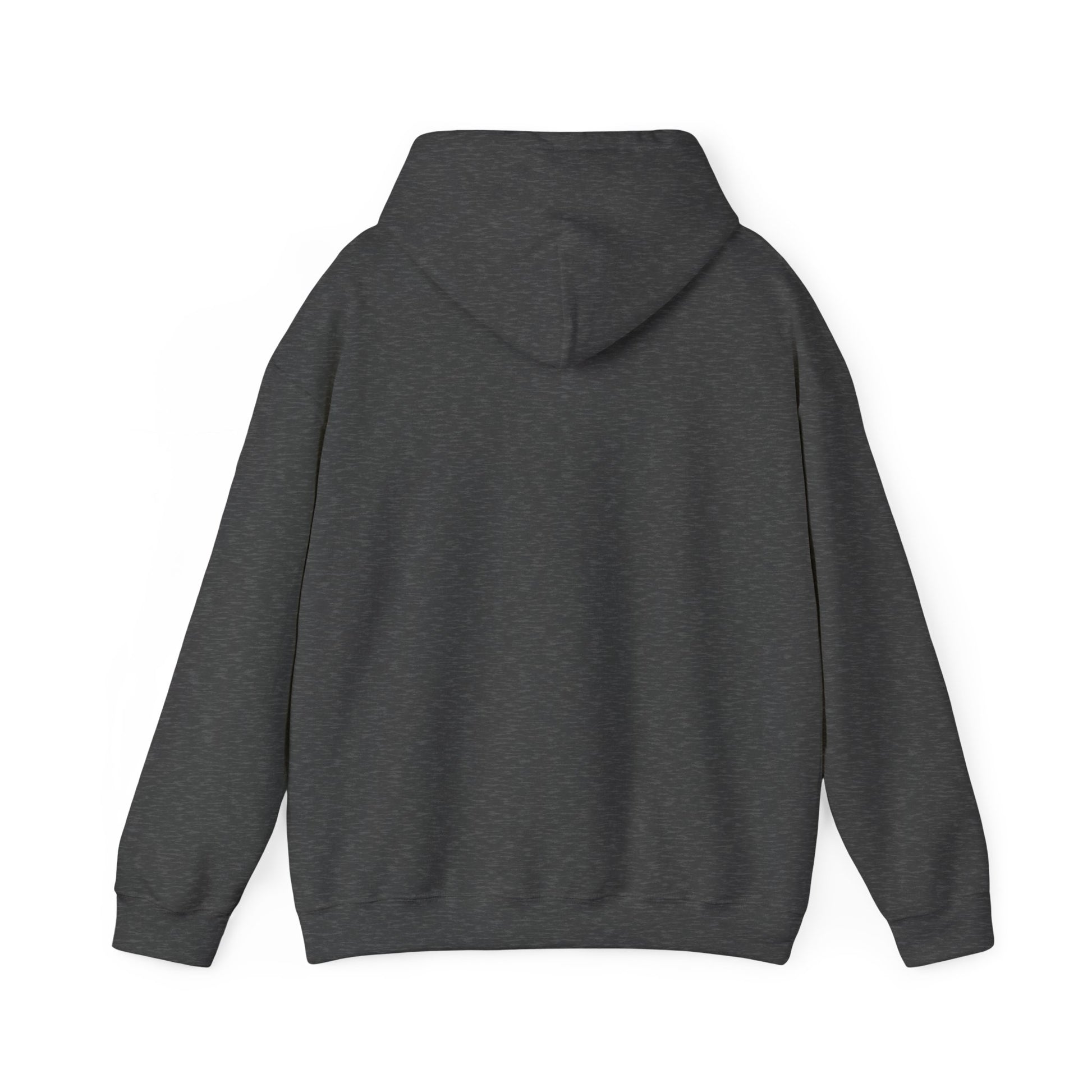 Thunder Studio Cat Hoodie - Unisex Heavy Blend Sweatshirt, Cozy Gift for Cat Lovers, Perfect for Fall, Winter & Birthdays, Unique [...] - BarkandMeow