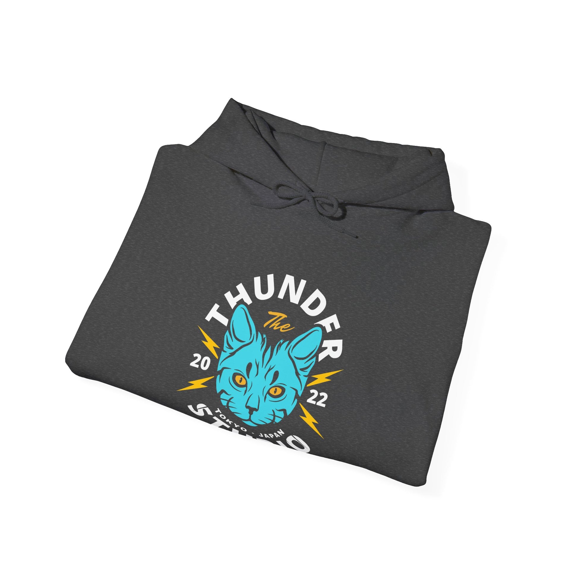 Thunder Studio Cat Hoodie - Unisex Heavy Blend Sweatshirt, Cozy Gift for Cat Lovers, Perfect for Fall, Winter & Birthdays, Unique [...] - BarkandMeow