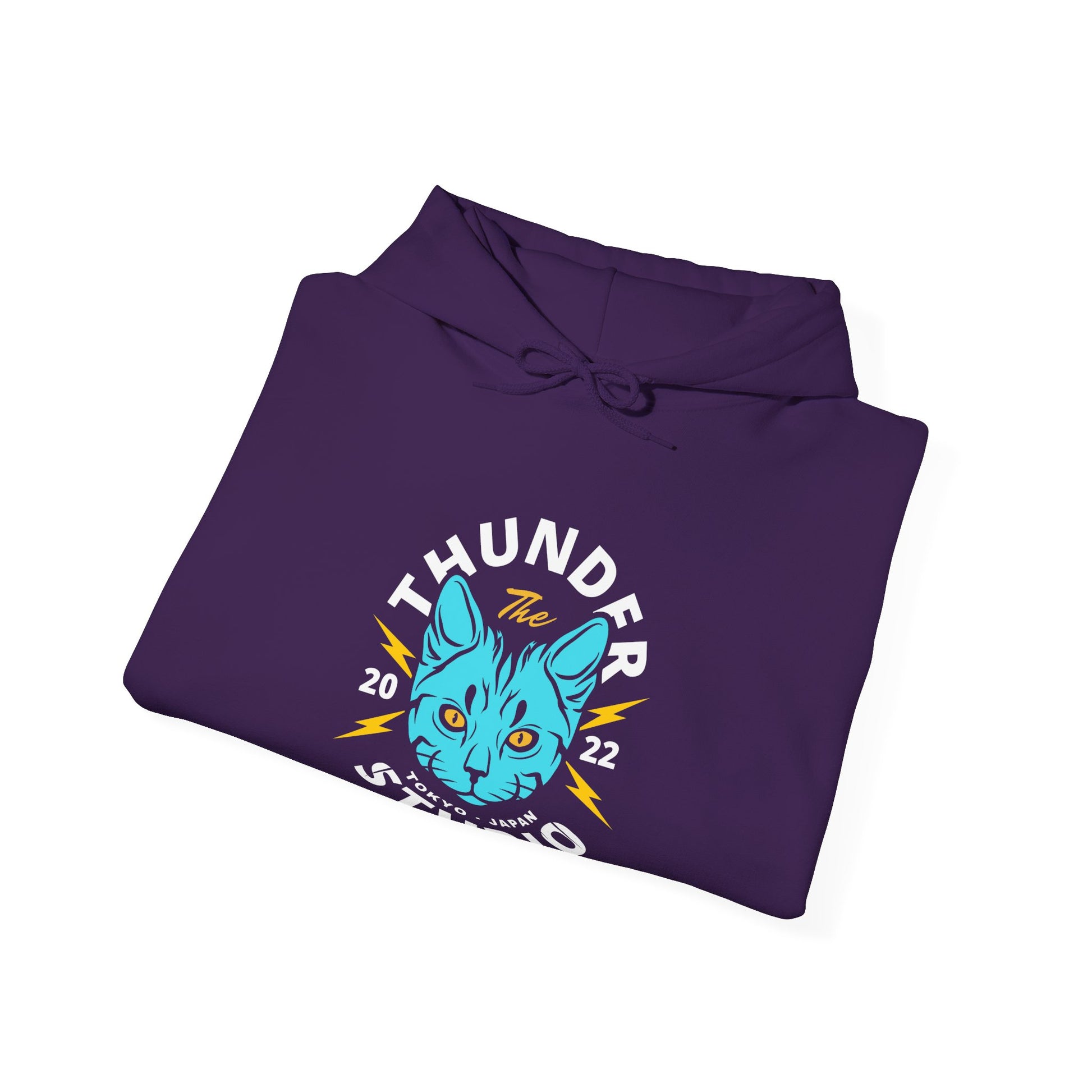 Thunder Studio Cat Hoodie - Unisex Heavy Blend Sweatshirt, Cozy Gift for Cat Lovers, Perfect for Fall, Winter & Birthdays, Unique [...] - BarkandMeow