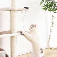 Pet Cat Toy Electronic Motion Cat Toy Interactive - BarkandMeow