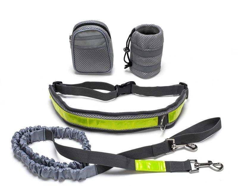 Adjustable Hands Free Dog Leash - BarkandMeow