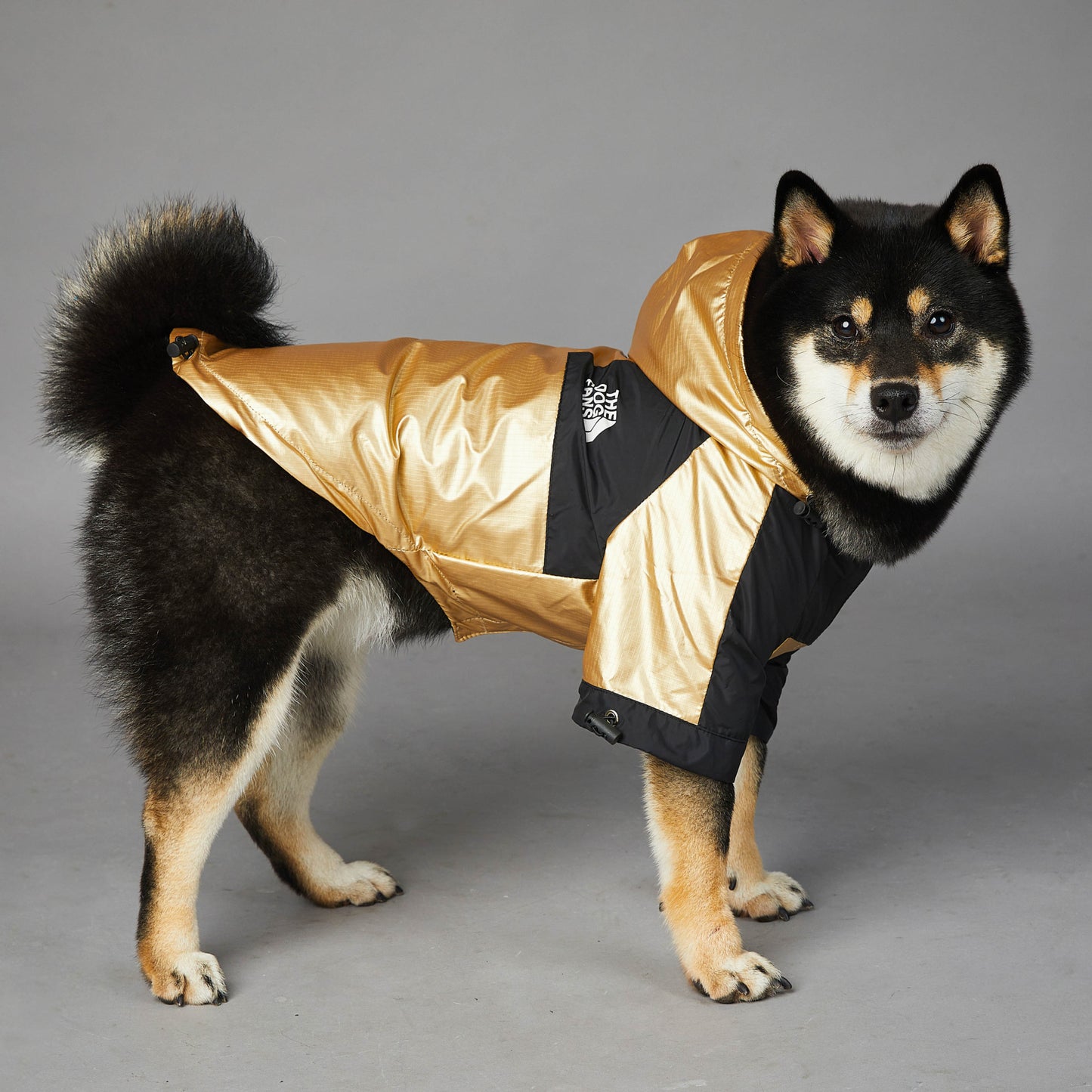 Dog Large Dog Raincoat Pet Jacket - BarkandMeow