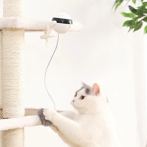 Pet Cat Toy Electronic Motion Cat Toy Interactive - BarkandMeow