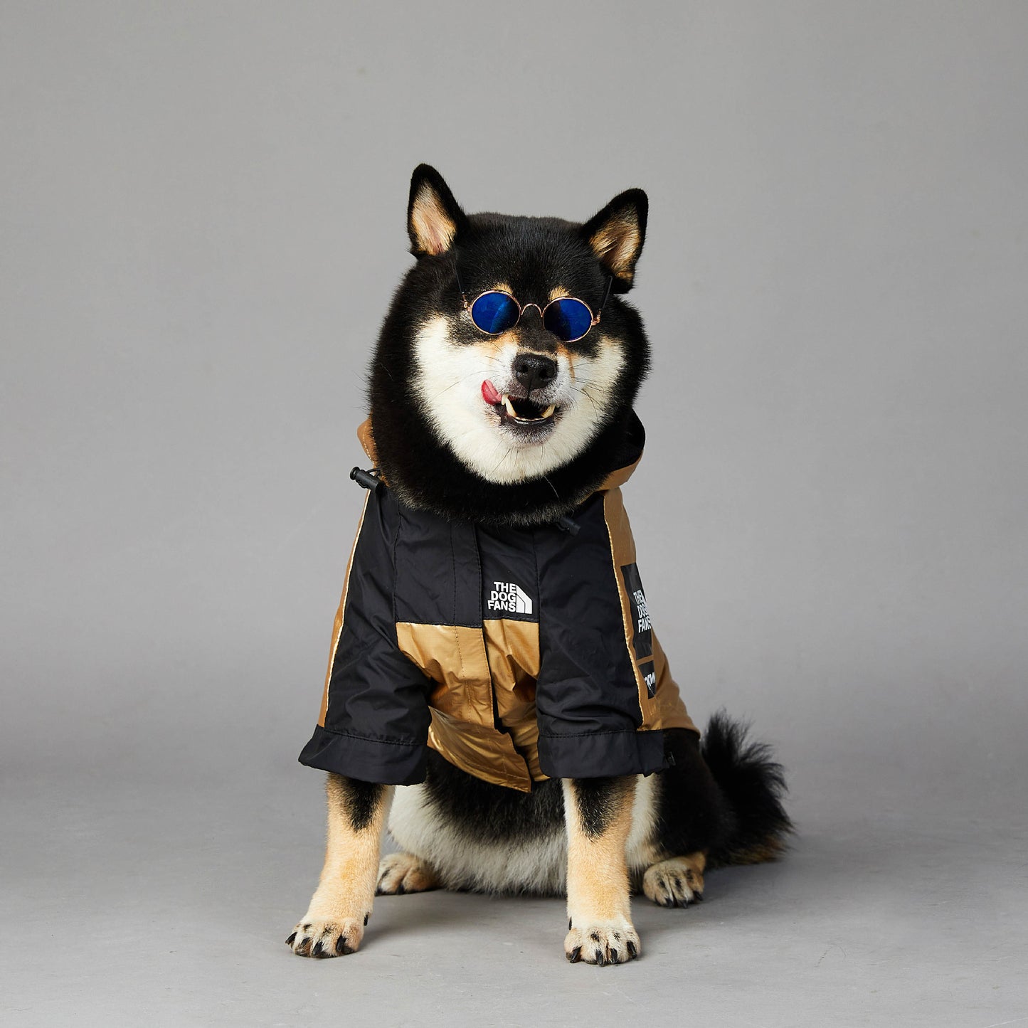 Dog Large Dog Raincoat Pet Jacket - BarkandMeow