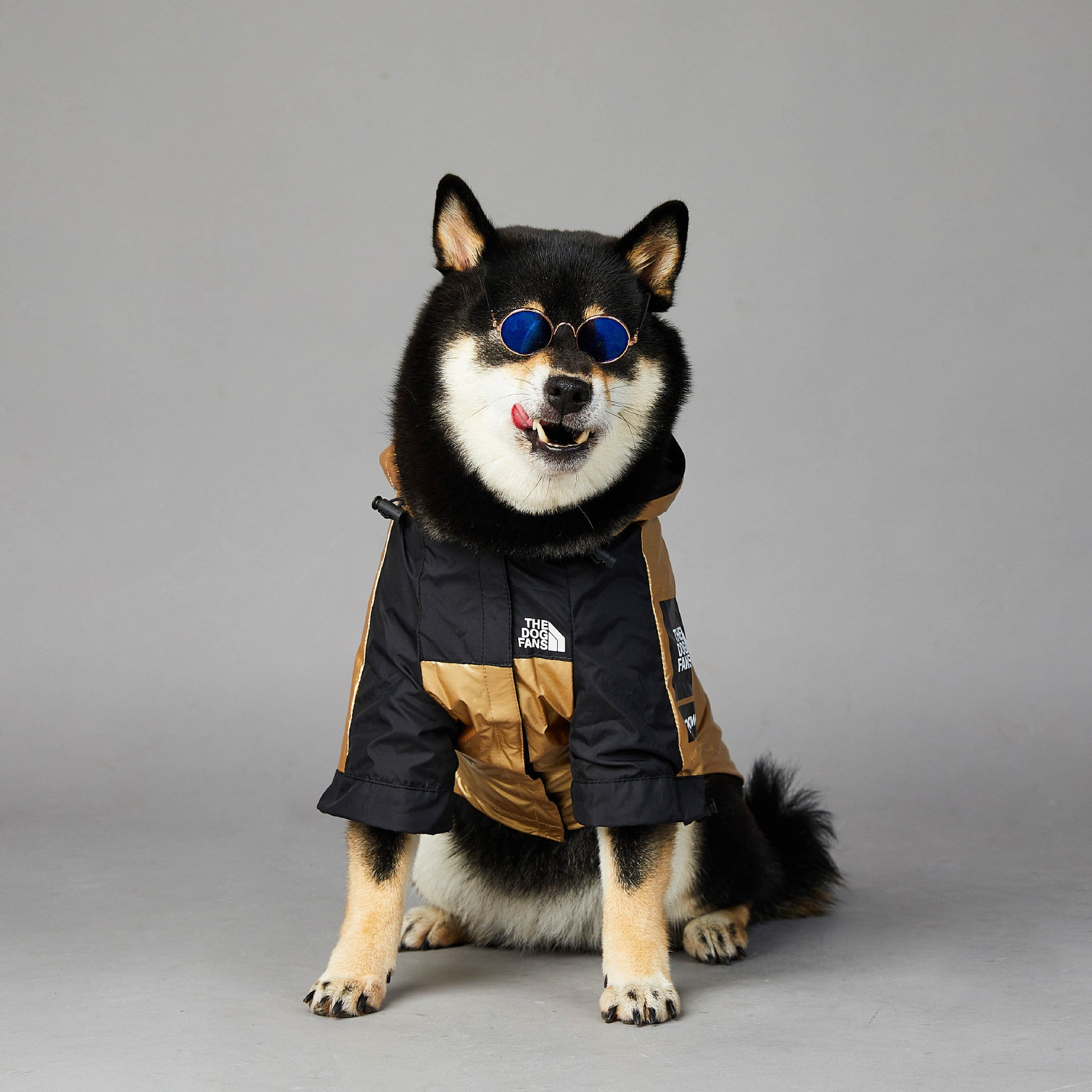 Dog Large Dog Raincoat Pet Jacket - BarkandMeow