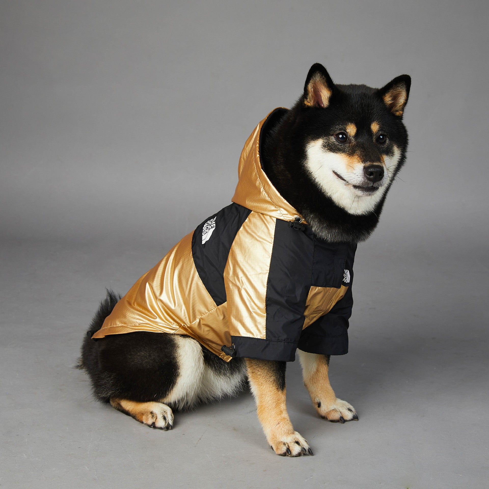 Dog Large Dog Raincoat Pet Jacket - BarkandMeow